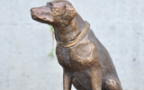 Labrador